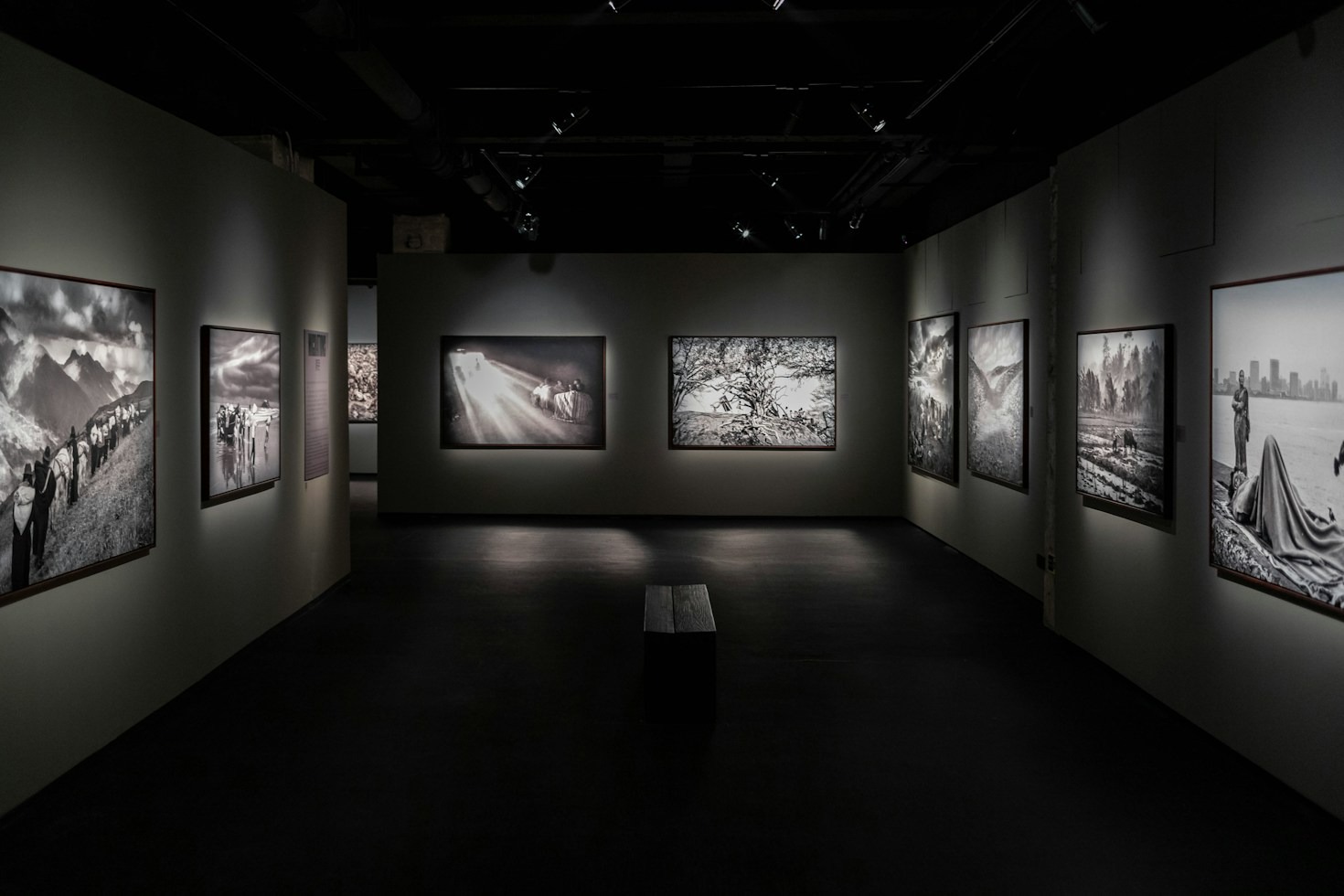 Mastering Natural Illumination in Modern Fine Art